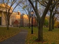 Brown University